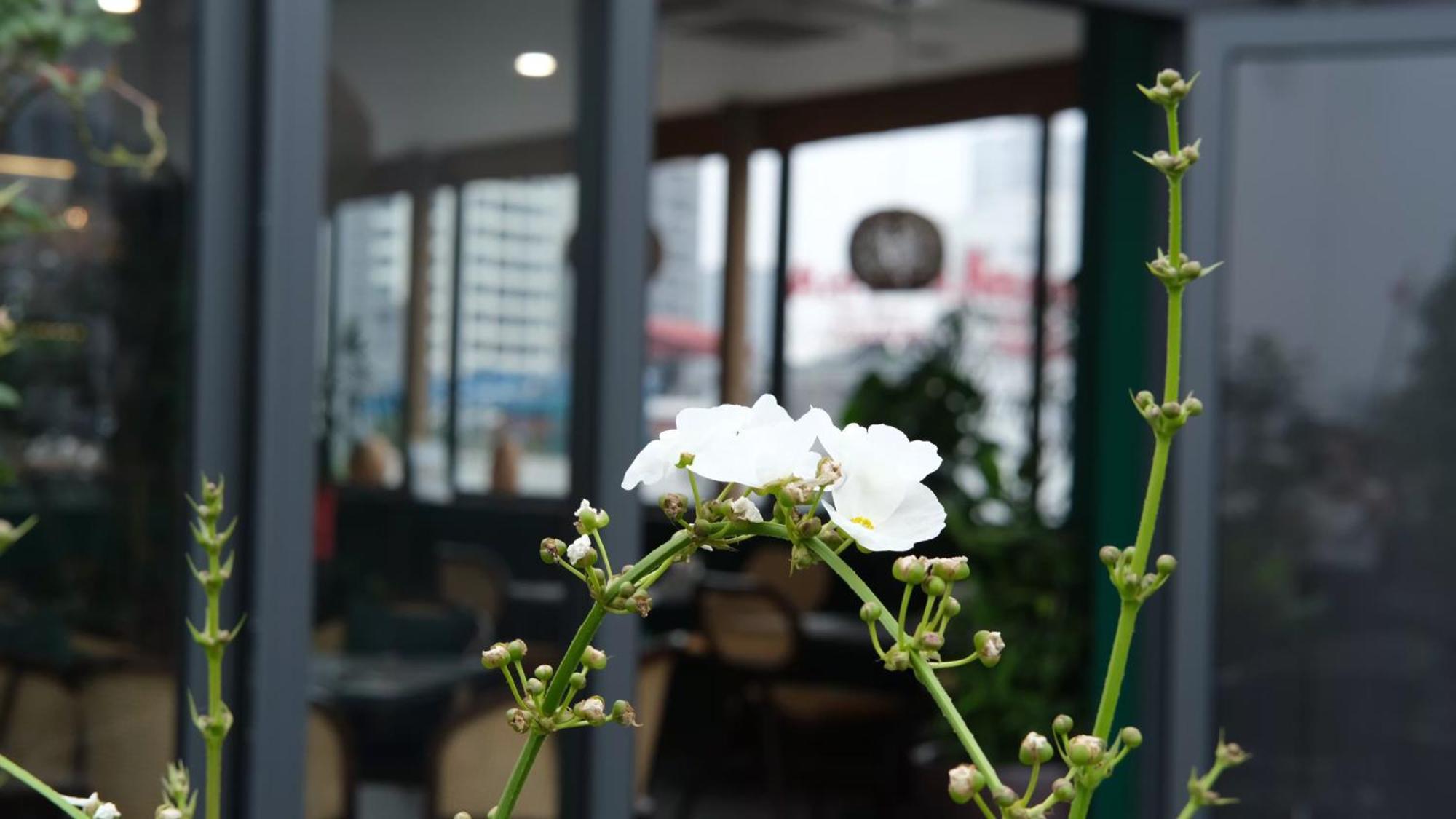 The Bloom Classic - Hotel And Bistro Hanoi Zewnętrze zdjęcie